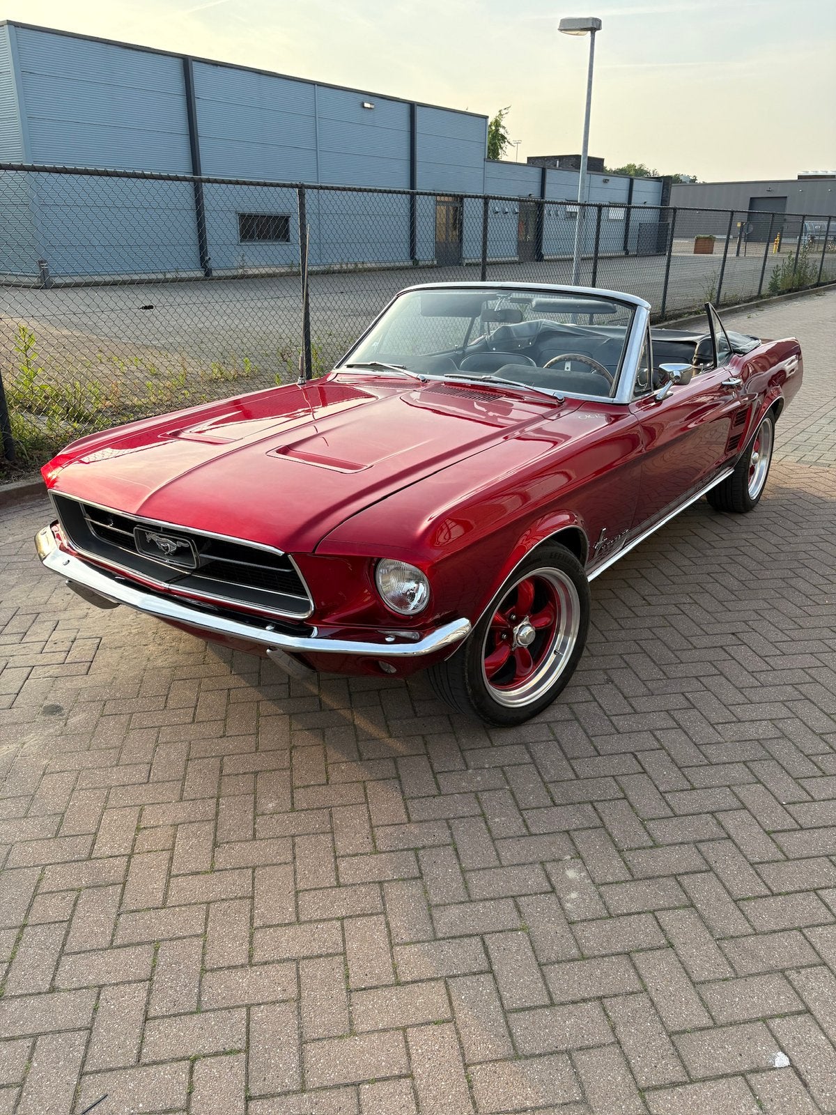 Diverse Mustangs, 65-69 met kenteken, Auto's, 4 zetels, 8 cilinders, Bedrijf, Mustang