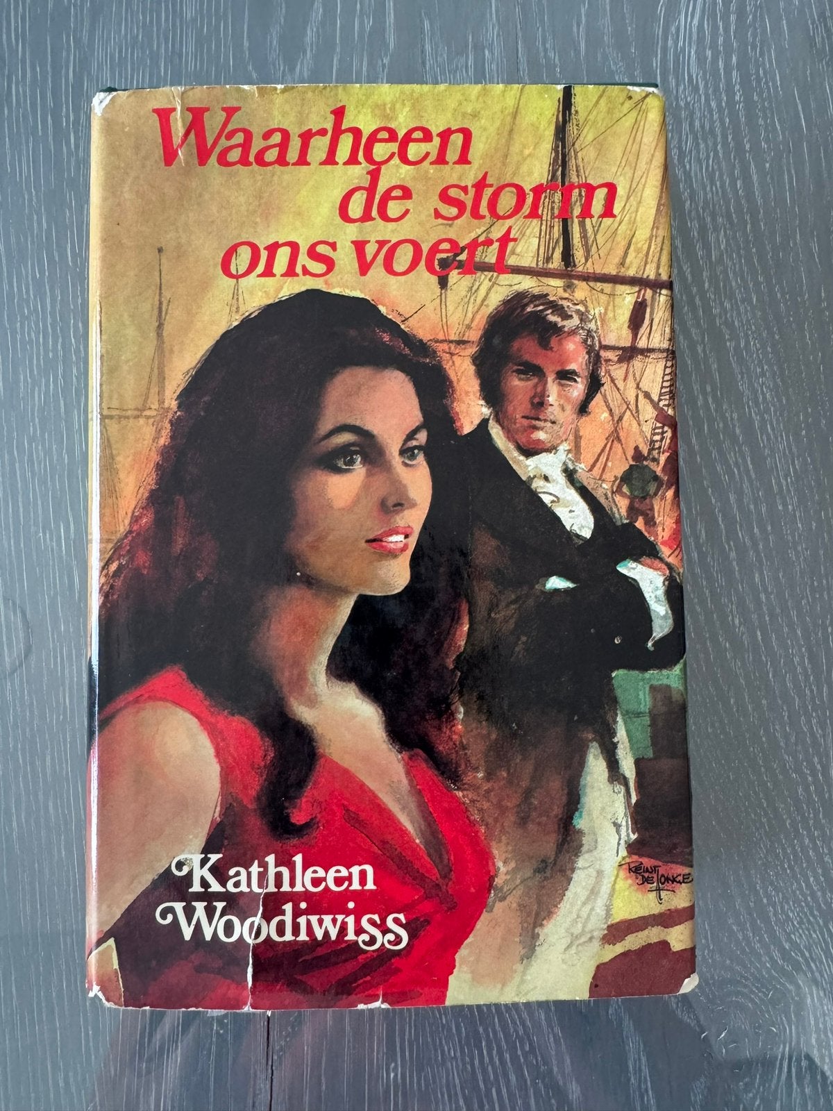 Waarheen de Storm ons voert. Hard cover, Boeken, Streekboeken en Streekromans, Ophalen, Gelezen