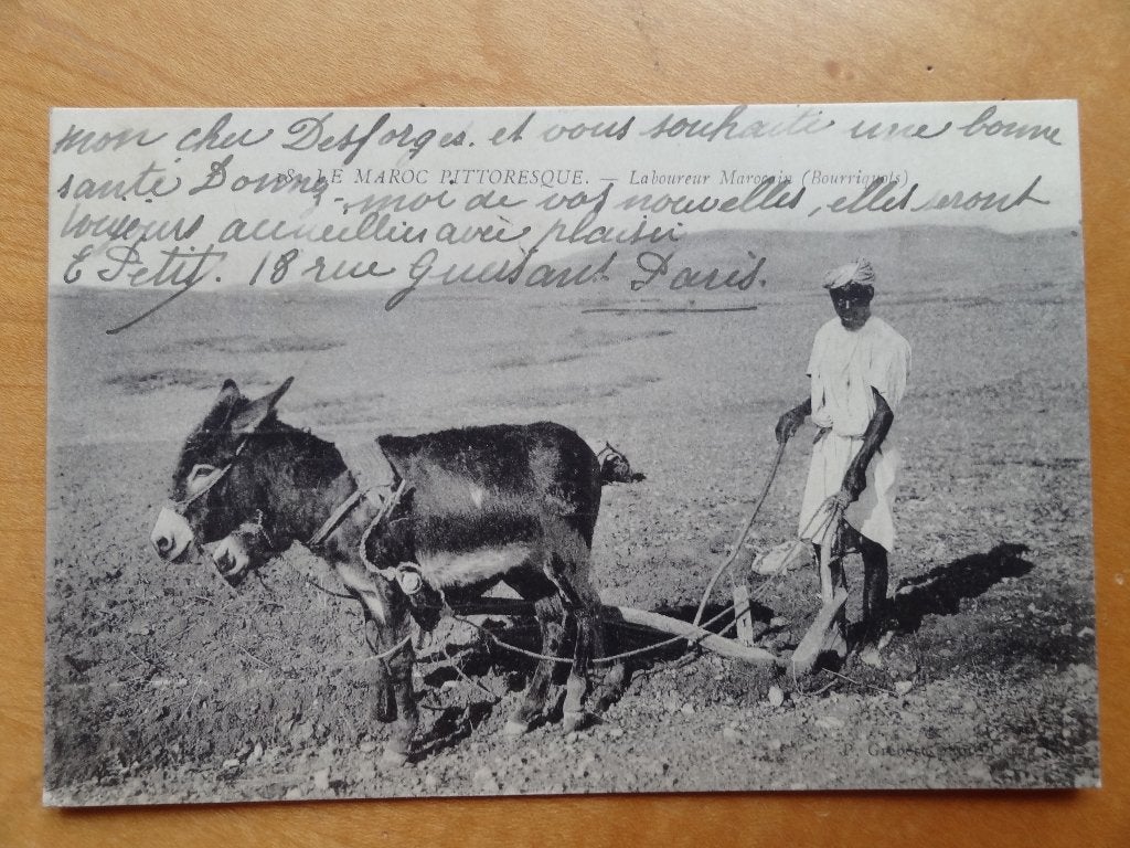 15 cartes de l'Afrique du Nord, Envoi, Avant 1920, Affranchie, Costume traditionnel