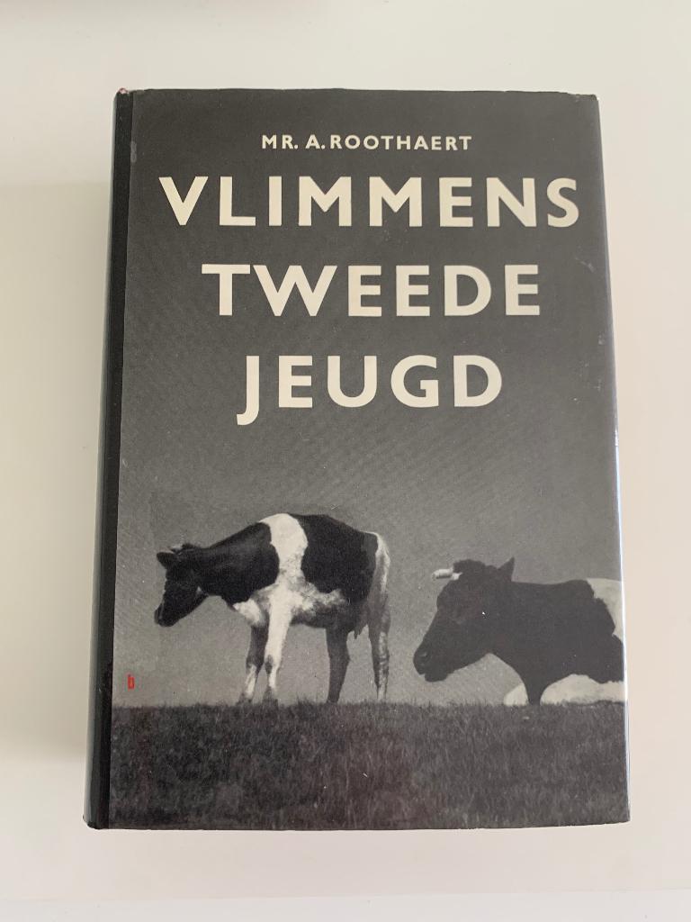 Vlimmens tweede jeugd, Mr. A. Roothaert, Boeken, Ophalen of Verzenden, Gelezen