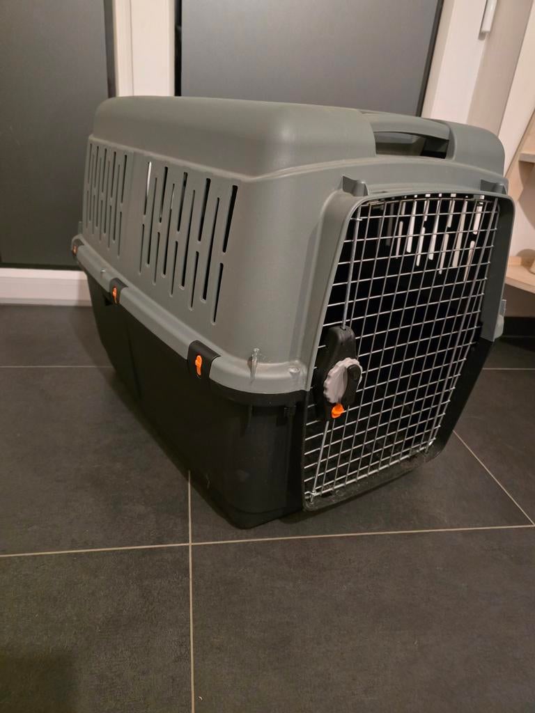Cage de transport, Enlèvement