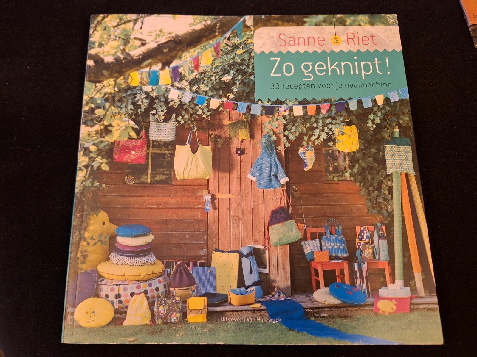 Riet van de Walle - Zo geknipt, Boeken, Verzenden, Riet van de Walle; Sanne Vanautgaerden