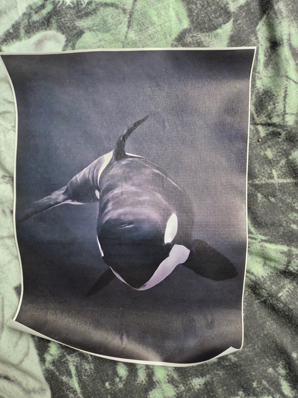 canvas orka, Huis en Inrichting, Verzenden