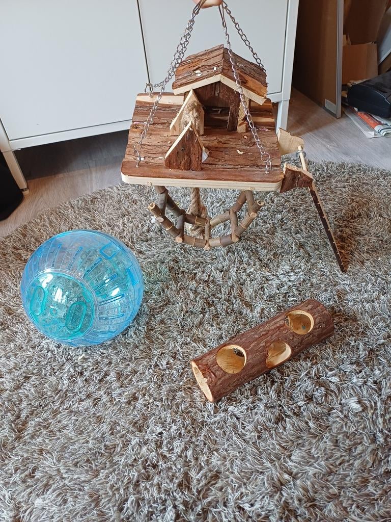 Hamster benodigdheden, Ophalen
