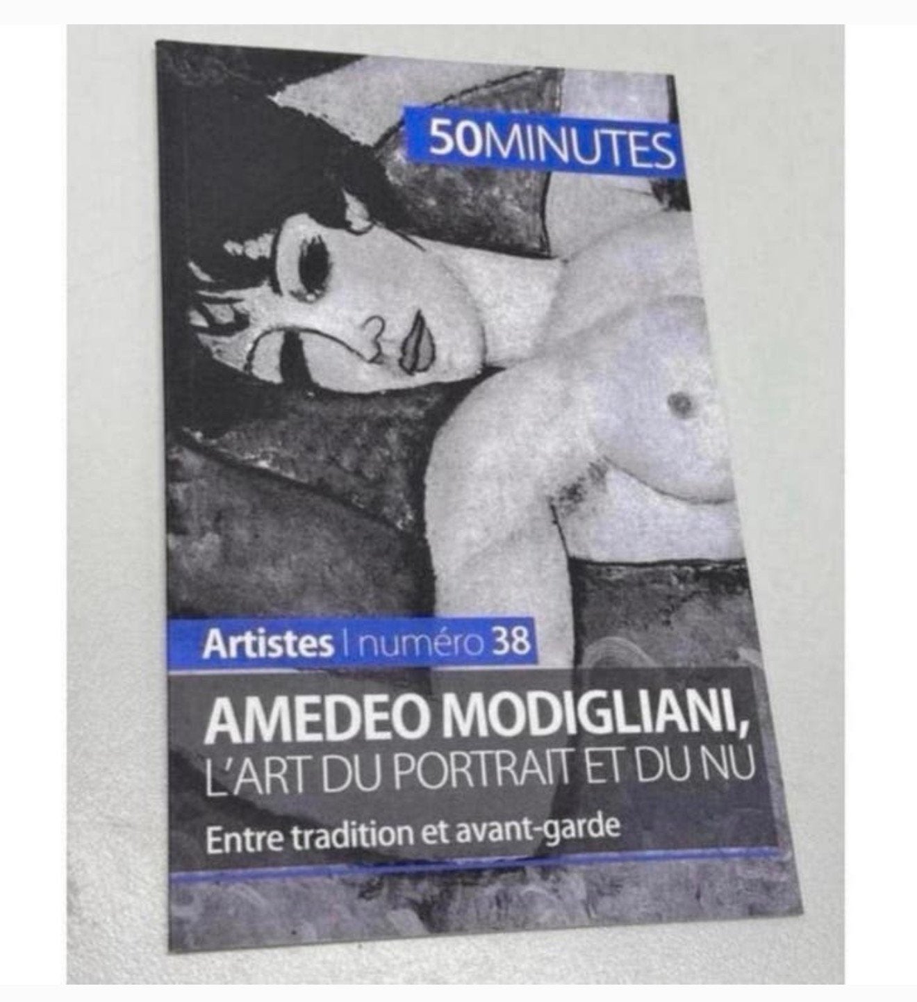 Amedeo Modigliani, l'art du portrait et du nu Entre - nr 38, Ophalen of Verzenden, Nieuw