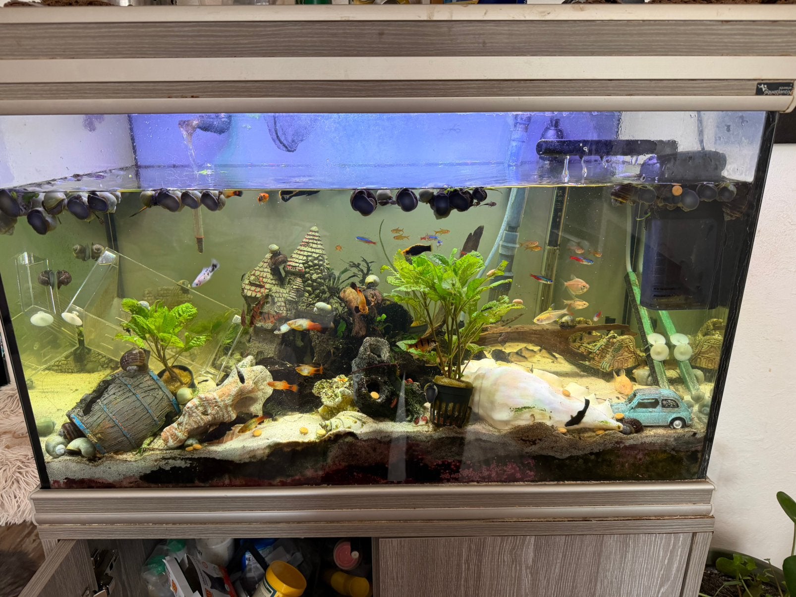 Aquarium mysterie slakken bodemreinigers pomp, Ophalen, Pomp, Zo goed als nieuw