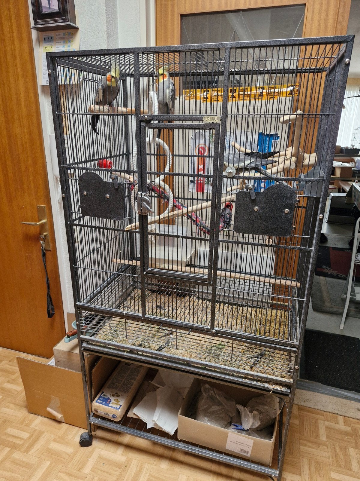 vogels kot, Dieren en Toebehoren, Ophalen