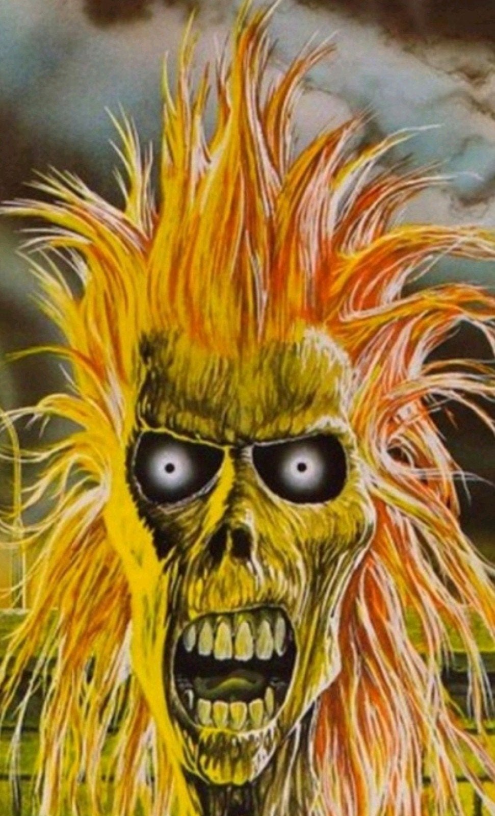 Iron Maiden verzameling te koop, Ophalen of Verzenden