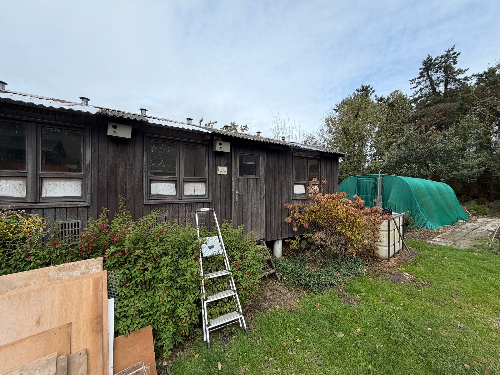 Demster duivenhok 12 x 2 m - zelf af te breken, Jardin & Terrasse, Enlèvement, Utilisé, Bois, Abri de jardin