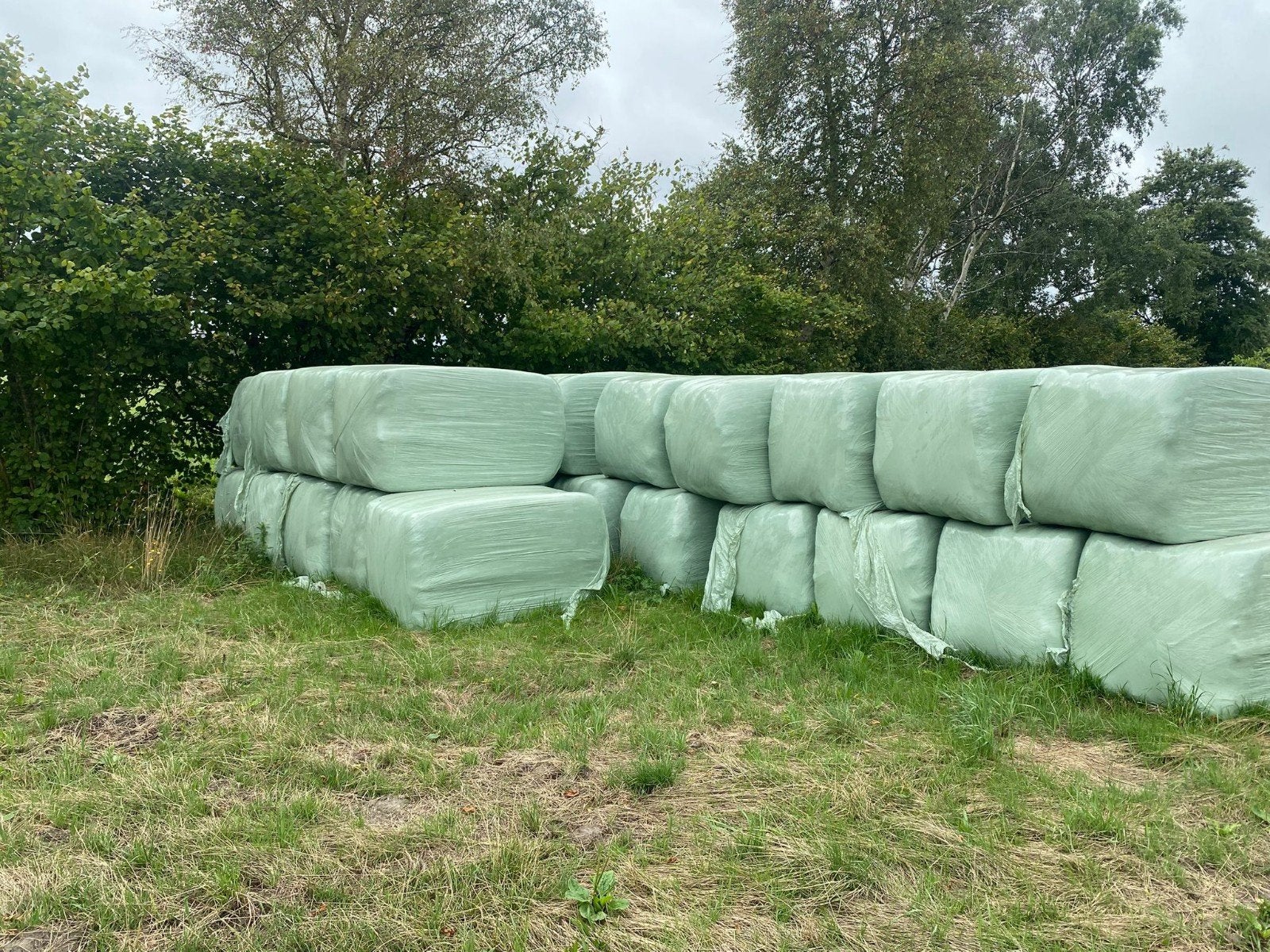 grande balles de foin en plastic 99p, Enlèvement
