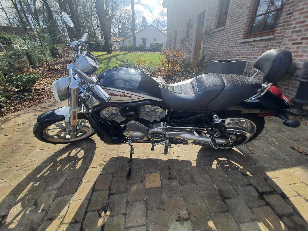Harley-Davidson Street Rod - zeldzaam - zeer goede conditie, Motoren, Motoren | Harley-Davidson, 2 cilinders, Motorrijbewijs A
