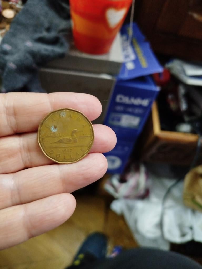 Canadese munt, Postzegels en Munten, Ophalen of Verzenden