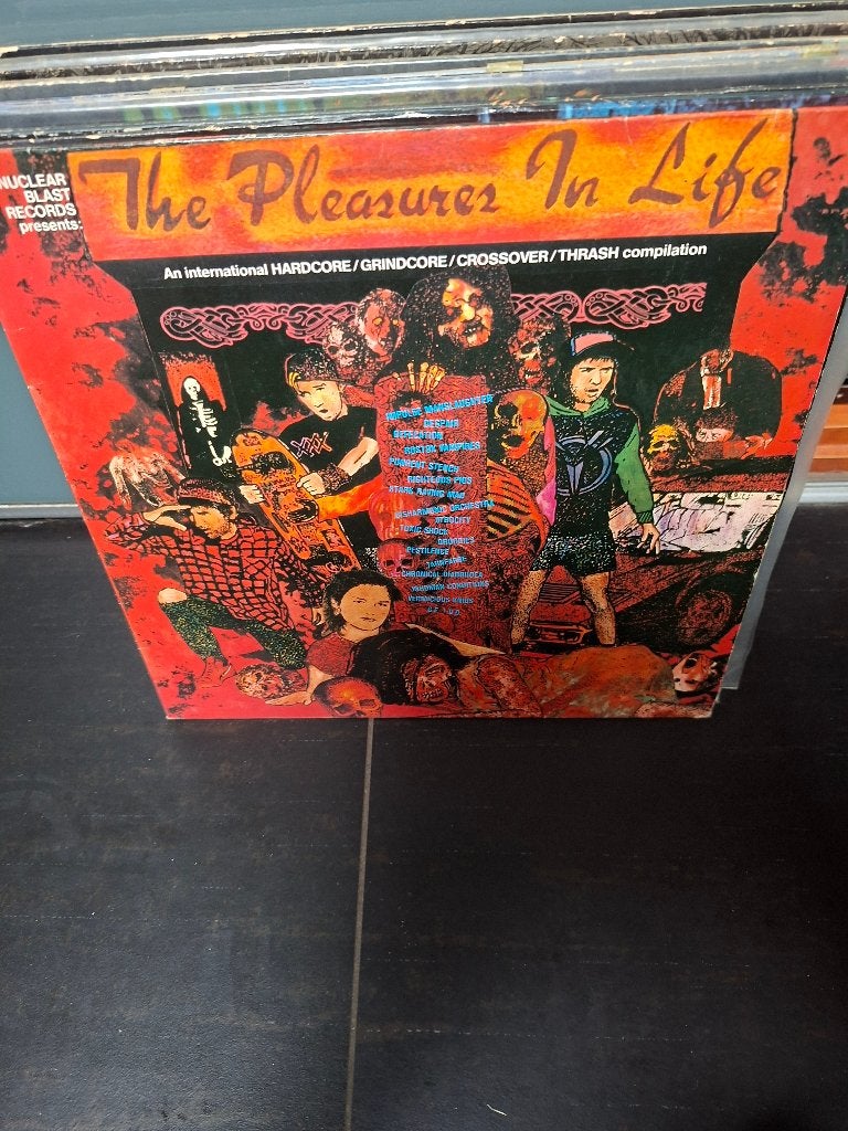 lp - various - the pleasures in life - vak 9, Double LP, Enlèvement ou Envoi, Comme neuf, Grindcore