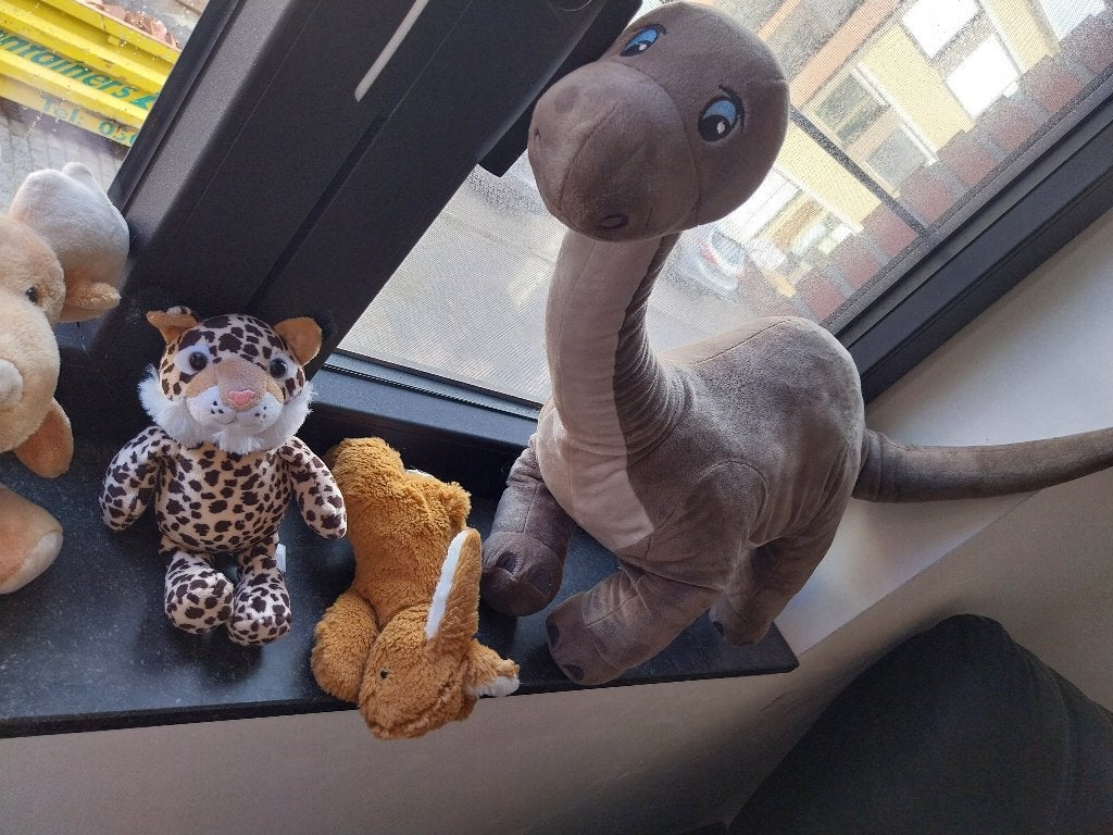 Gratis knuffeldieren, Enfants & Bébés, Jouets | Peluches, Enlèvement, Utilisé