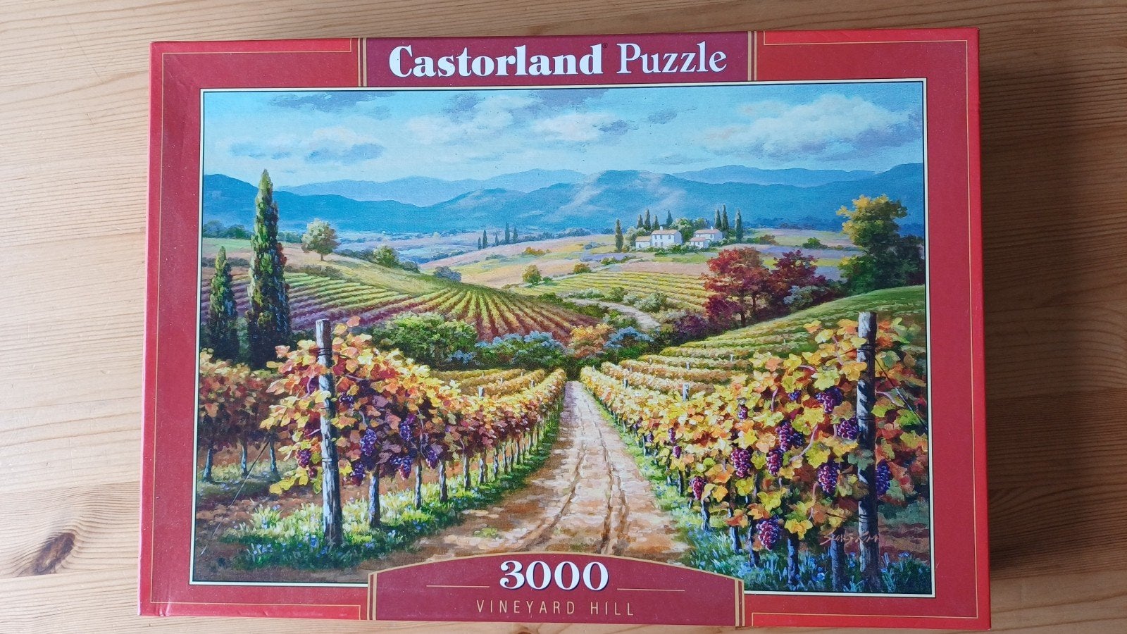 Castorland puzzle 3000, Ophalen, Meer dan 1500 stukjes, Zo goed als nieuw, Legpuzzel