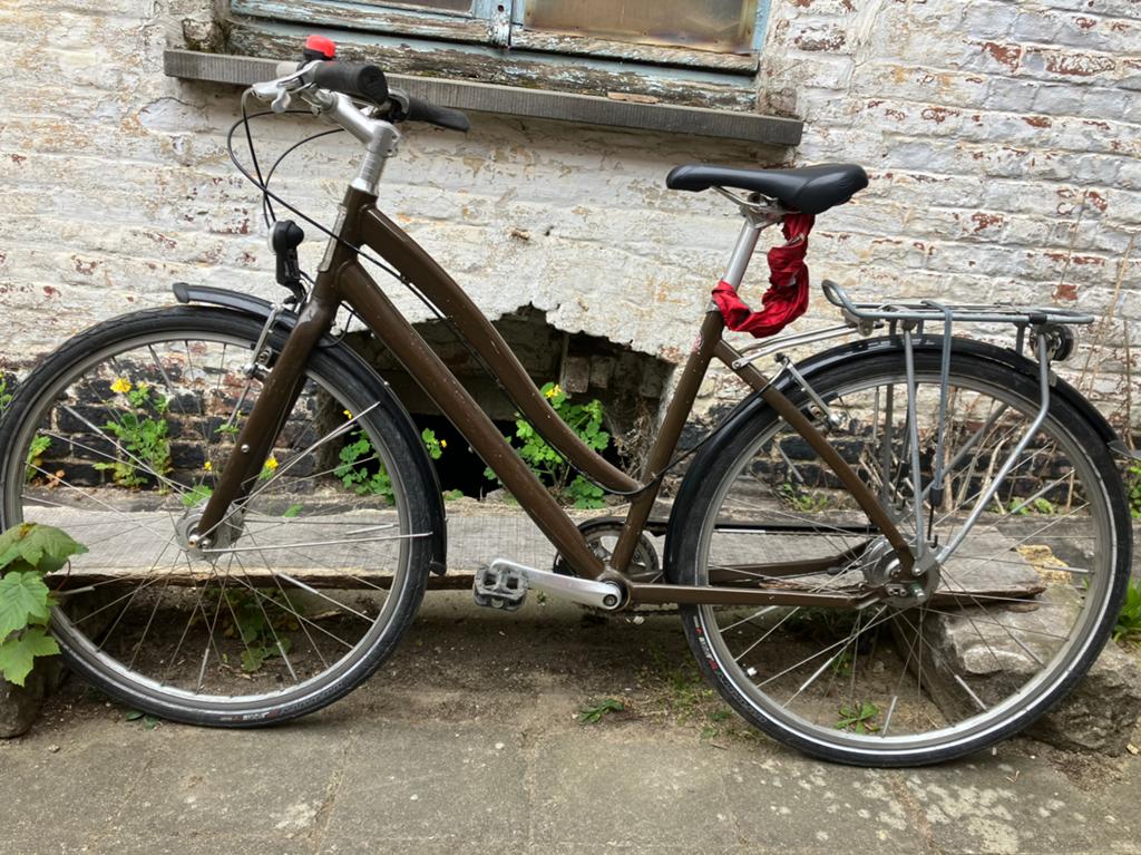 Specialized Vienna, Ophalen, Gebruikt, Velgrem, 47 tot 50 cm