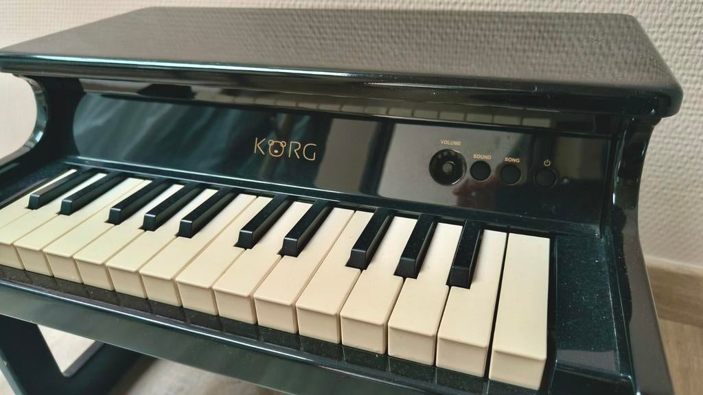 Korg Tiny-mini piano zwart, Ophalen, Zwart, Piano