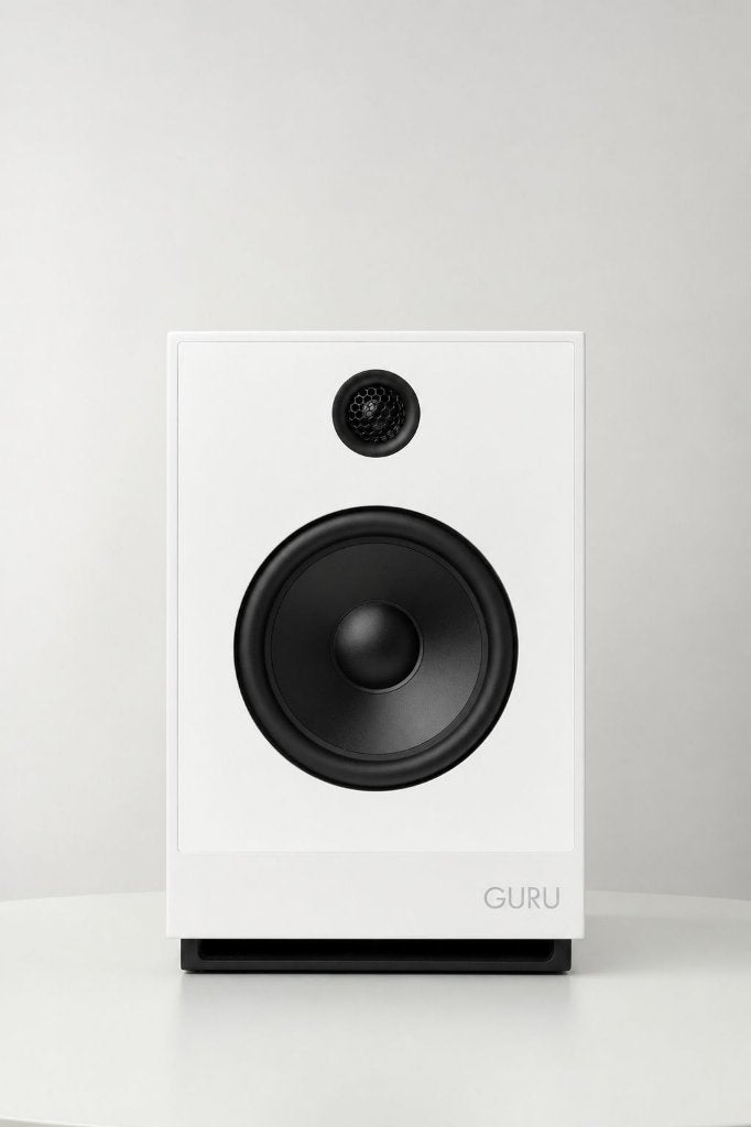 Guru 12 TRADE.INRUIL, Audio, Tv en Foto, Ophalen of Verzenden, Zo goed als nieuw, 60 tot 120 watt
