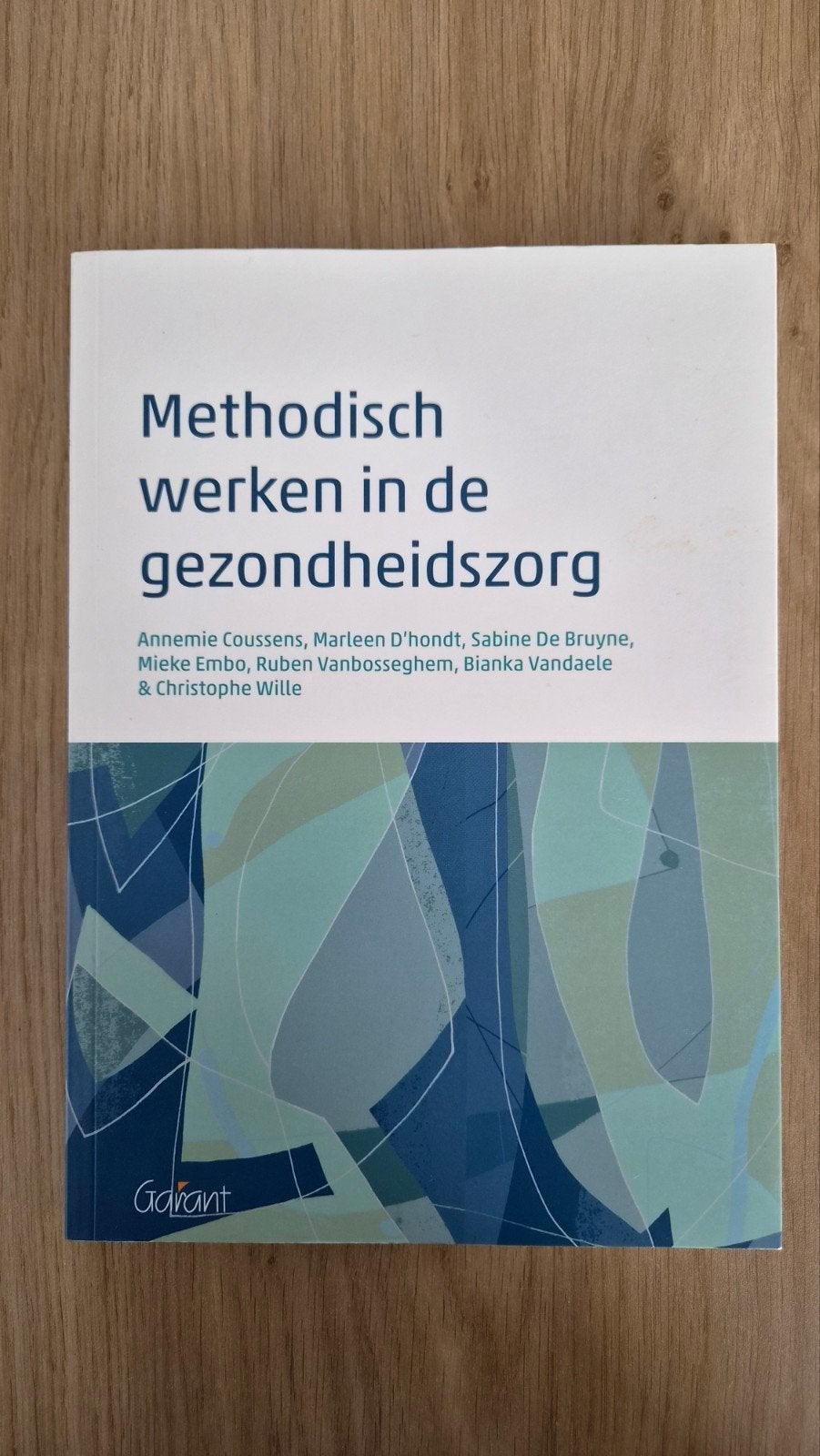Annemie Cousssens - Methodisch werken in de gezondheidszorg, Boeken, Ophalen of Verzenden, Zo goed als nieuw, Hoger Onderwijs