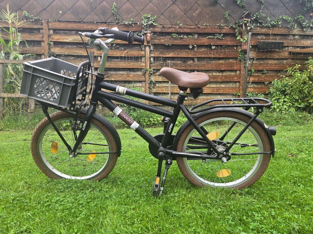 Jongensfiets 18 inch / 18", Fietsen en Brommers, Ophalen, Gebruikt, Alpina, Handrem