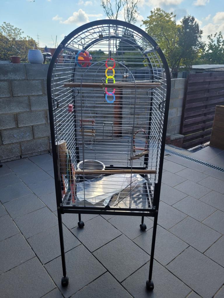 Cages à perroquet, Enlèvement