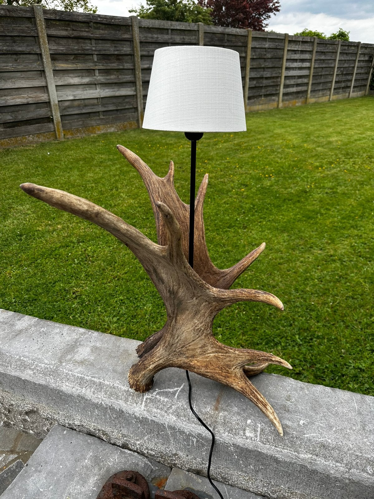 Eland gewei lamp, Antiek en Kunst, Ophalen
