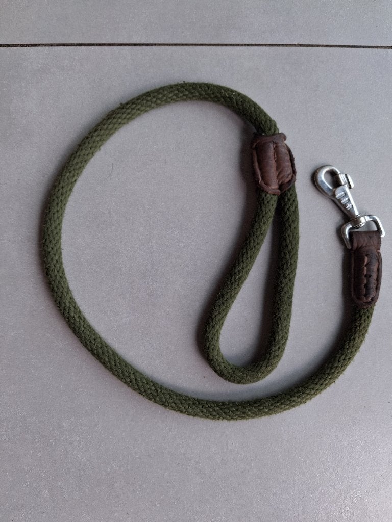 Laisse pour chien, Enlèvement, Utilisé, Laisse pour chien