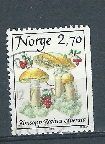 NORVEGE, Enlèvement ou Envoi, Norvège, Affranchi