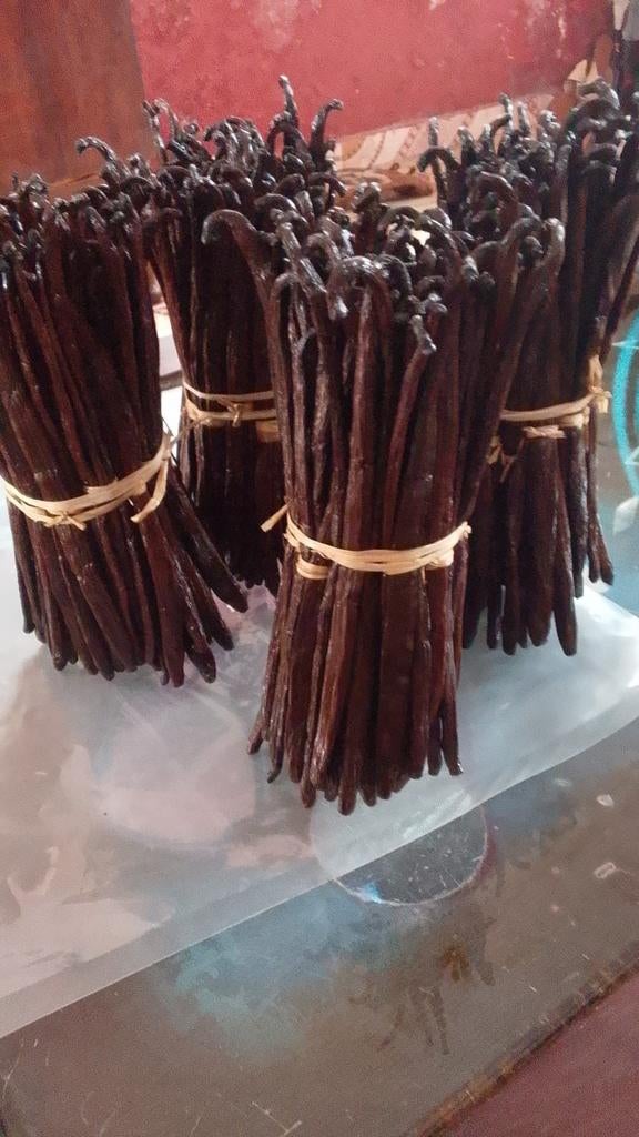 Bâtons de vanille, Divers