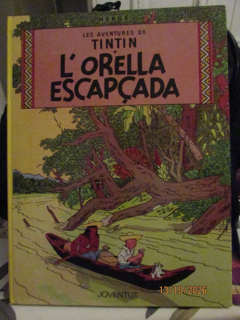 LE LIVRE BD TINTIN ET MILOU EN ESPAGNOL1989 ETAT NEUF, Collections, Enlèvement, Tintin, Comme neuf, Livre ou Jeu