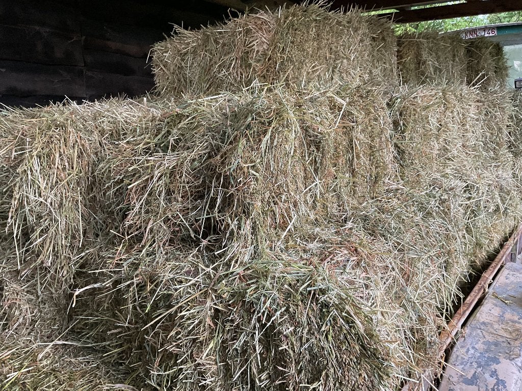 Hooi te koop, Dieren en Toebehoren, Ophalen, Overige soorten