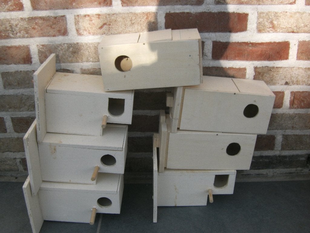 Broedblokken, Dieren en Toebehoren, Meerdere dieren, Tropenvogel