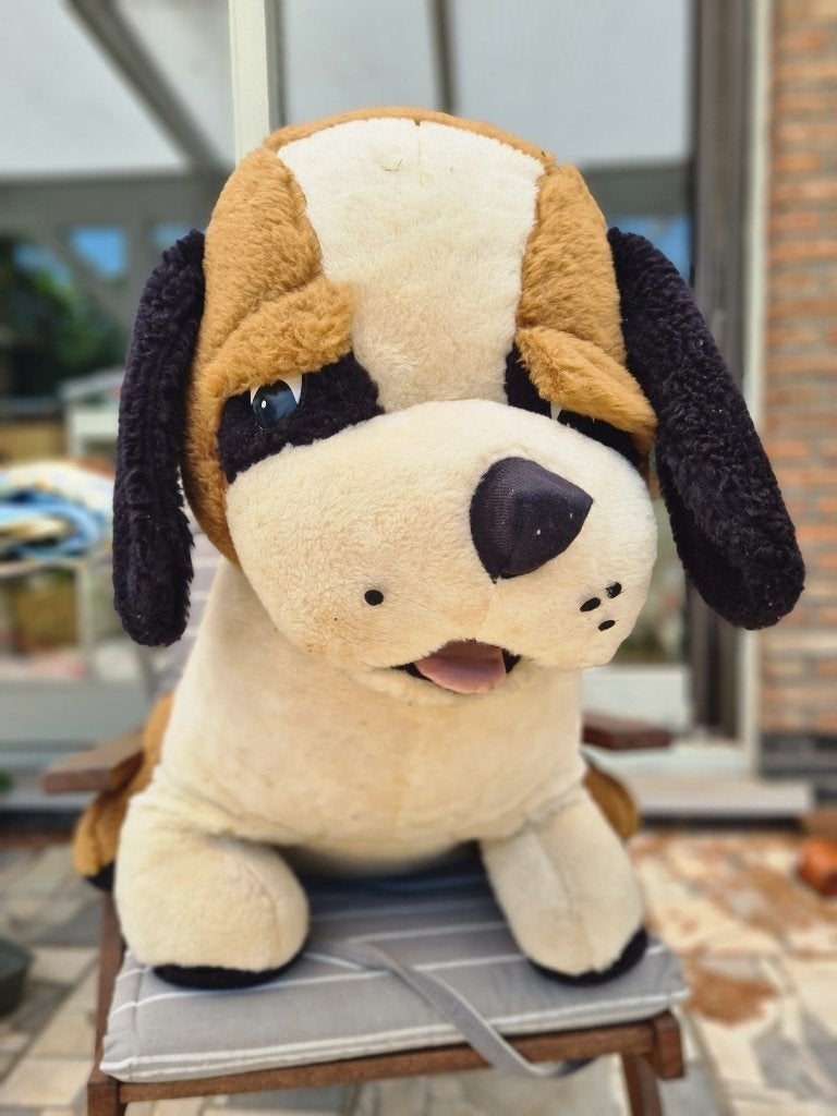 Grote pluche hond (gratis), Ophalen, Meerkleurig, Hond