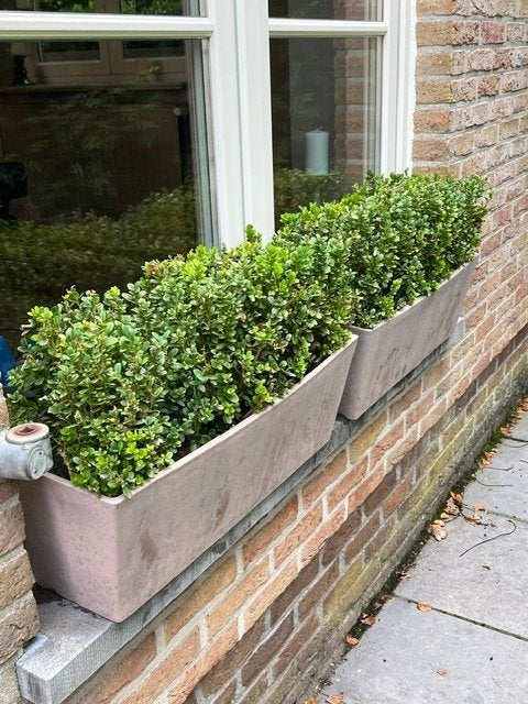 8 identiek bloembakken met planten, Tuin en Terras, Bloembakken en Plantenbakken, Ophalen, Kunststof, Gebruikt, Balkon