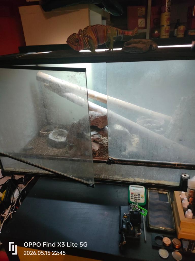 Terrarium GiganTerra, 50 x 100 cm., Dieren en Toebehoren, Ophalen