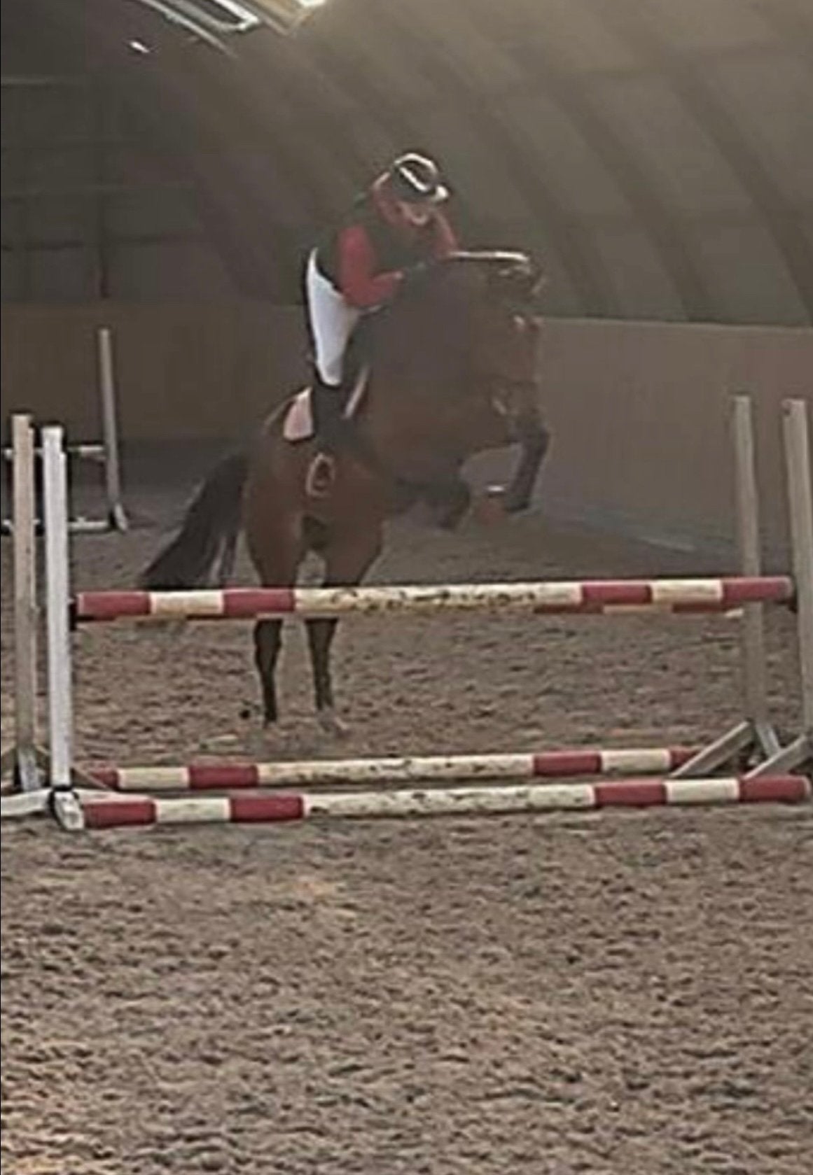 Knappe 4 jarige recreatie merrie, Dieren en Toebehoren, Paarden, Merrie, B, 170 tot 175 cm, 3 tot 6 jaar, Recreatiepaard, Met stamboom
