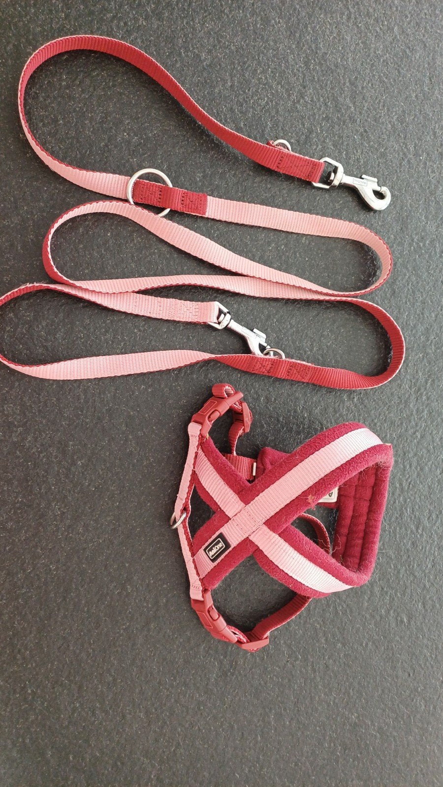 puppy leiband en harnas, Dieren en Toebehoren, Ophalen of Verzenden