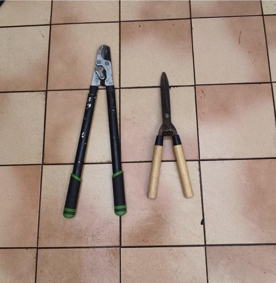 Taille haie manuel/coupe branche télescopique, Ophalen, Gebruikt, Handmatig, Autre
