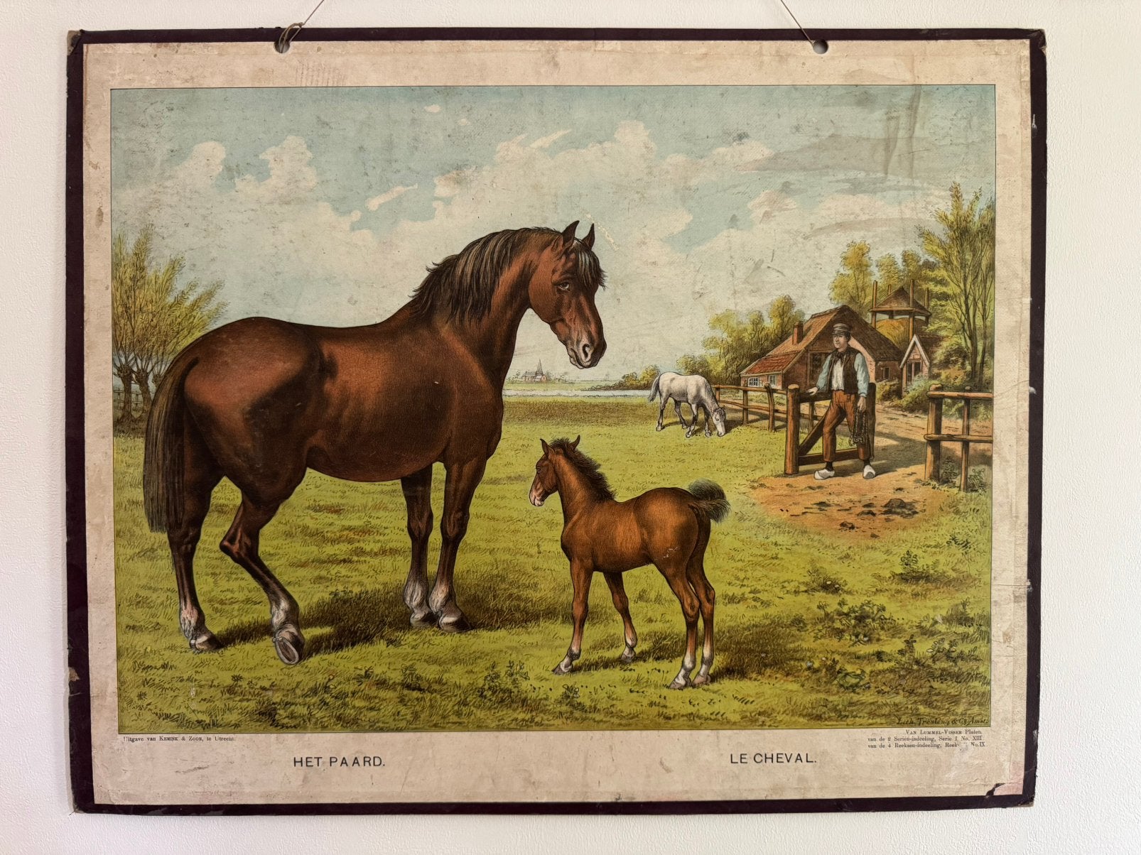 Schoolkaart Het Paard, Ophalen, Natuur en Biologie