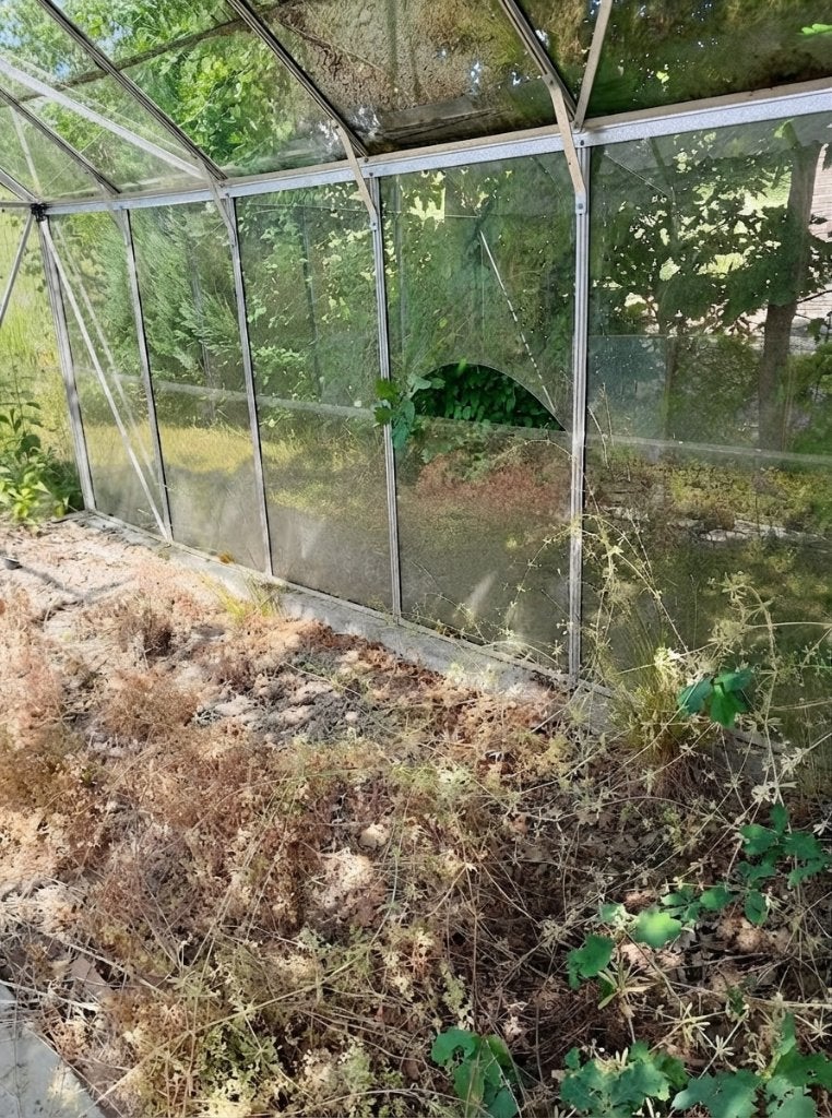 Réparation de serres en aluminium, Ophalen, Gebruikt, Kweekkas, Glas