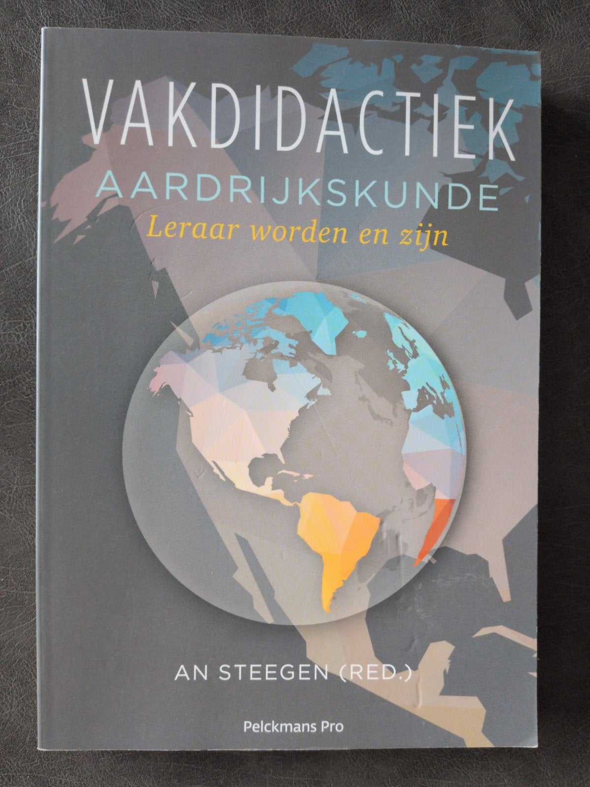Vakdidactiek Aardrijkskunde, Leraar worden en zijn, Boeken, Studieboeken en Cursussen, Ophalen of Verzenden, Nieuw, Hoger Onderwijs