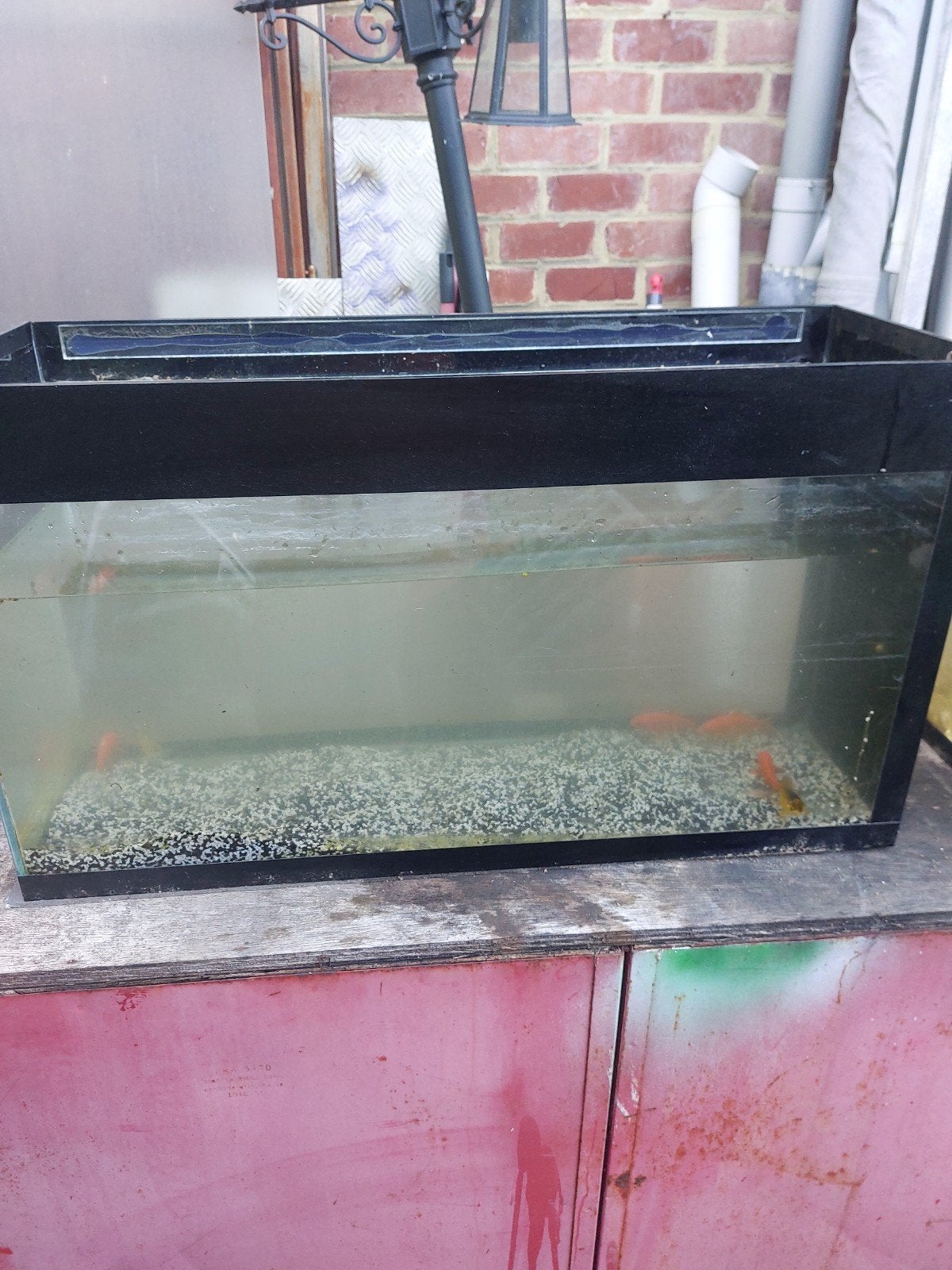 Aquarium, Enlèvement ou Envoi, Chauffage, Filter