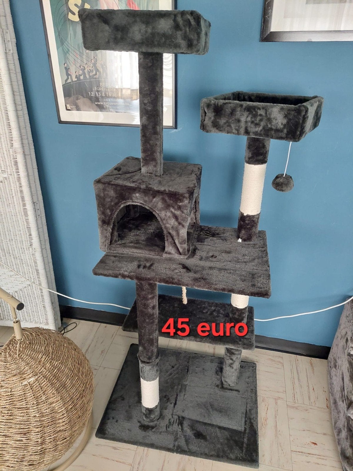 te koop grote krabpaal, Enlèvement, Griffoir