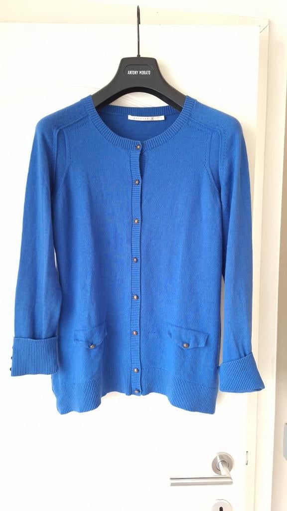 Xandres vestje xl, Kleding | Dames, Xandres, Ophalen of Verzenden