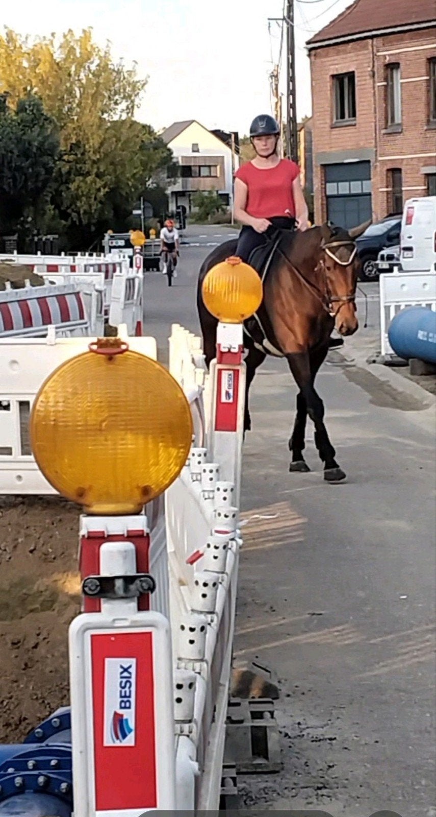 Recreatiepaard super lief wandel of cross paard, Animaux & Accessoires, B, 160 à 165 cm, Cheval de récréation, 3 à 6 ans