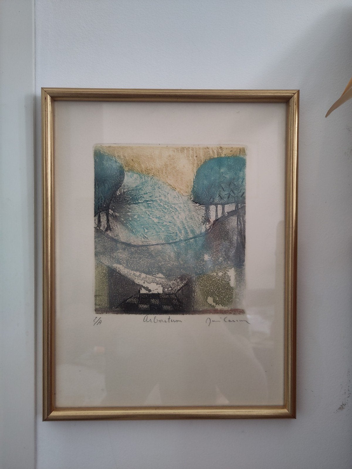lithographie van René Carcan, Lithografie