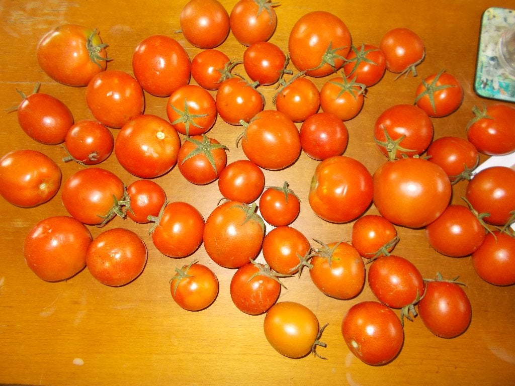 Pakket groenten te koop, Ophalen