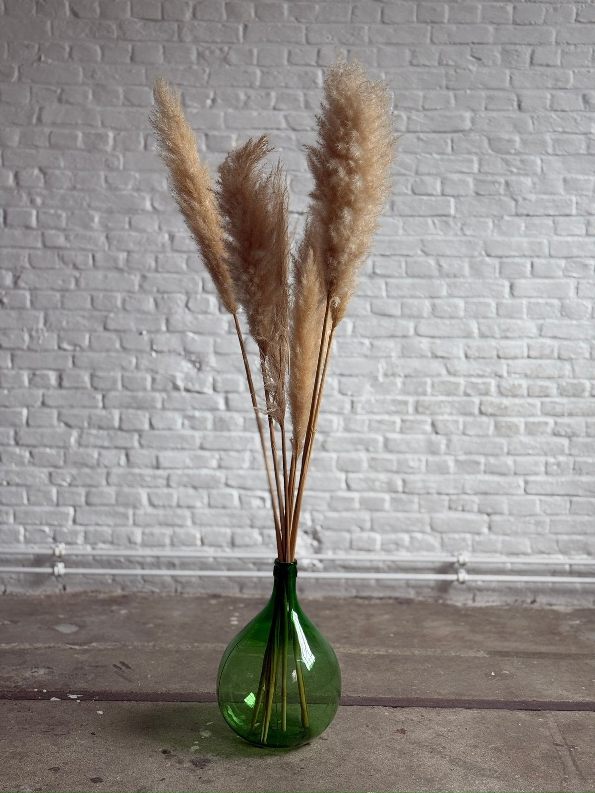 Groene dame jeanne vaas met pampas, Maison & Meubles, Accessoires pour la Maison | Fleurs séchées, Enlèvement, Comme neuf