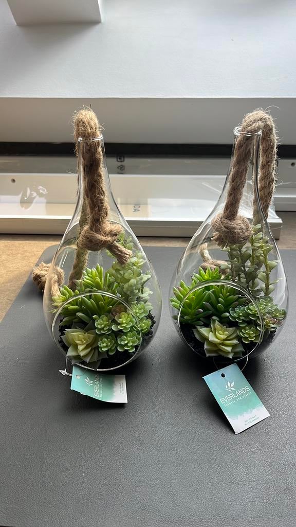 Everlands Succulenten in een glazen hangdecoratie 2 stuks, Ophalen, Zo goed als nieuw