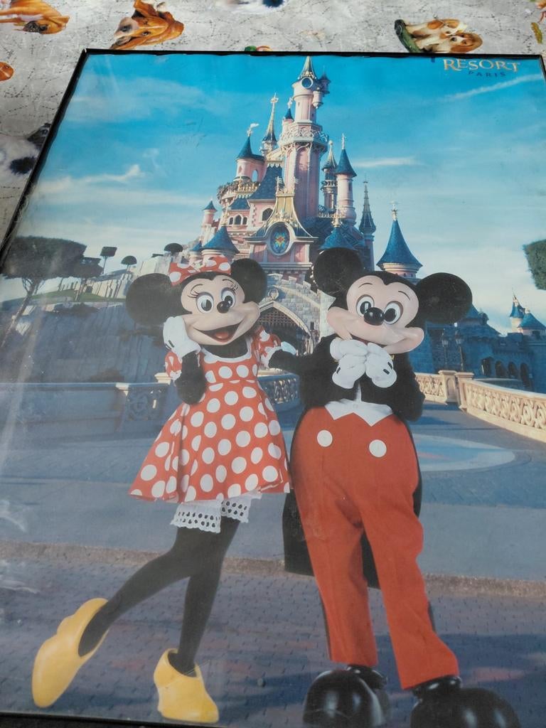 Grote kader Mickey en Minnie van Disney Parijs, Ophalen